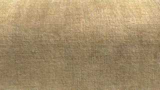the level icon