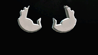 the level icon