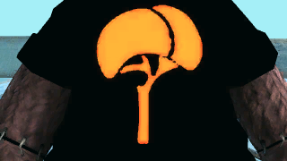 the level icon