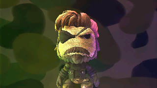 the level icon