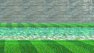 the level icon