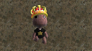 the level icon