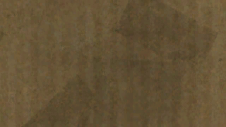 the level icon