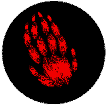 the level icon