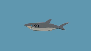 the level icon