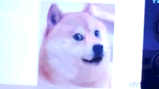 the level icon