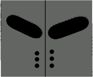the level icon